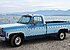 1977 Chevrolet C/K Truck Silverado for sale 101235107